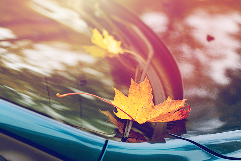 emil_manutenzione quarantena_finestrini